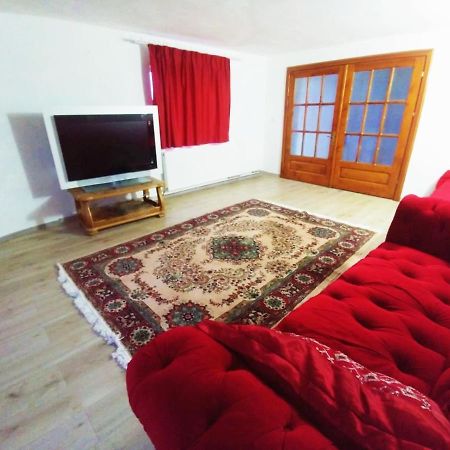 Casa Kotys Apartment Albestii Paminteni Екстериор снимка