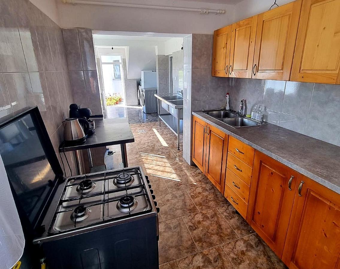 Casa Kotys Apartment Albestii Paminteni Екстериор снимка