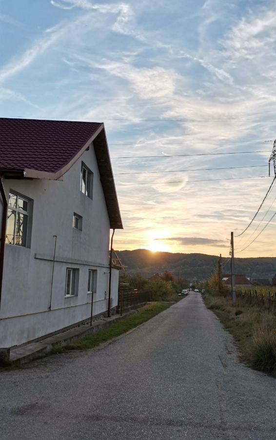 Casa Kotys Apartment Albestii Paminteni Екстериор снимка