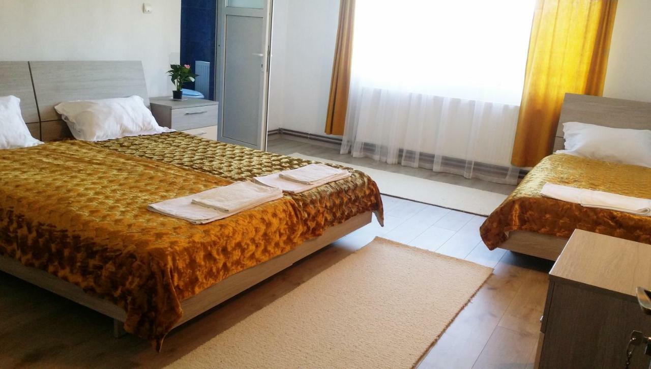 Casa Kotys Apartment Albestii Paminteni Екстериор снимка