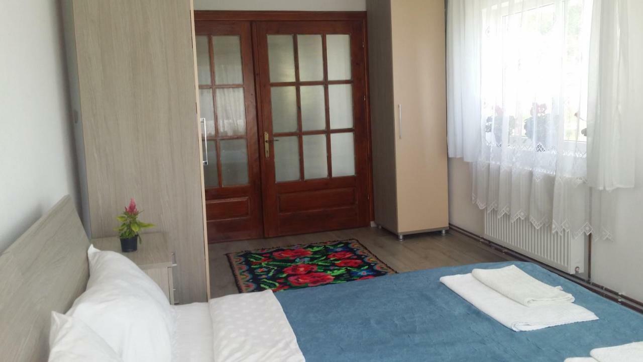 Casa Kotys Apartment Albestii Paminteni Екстериор снимка